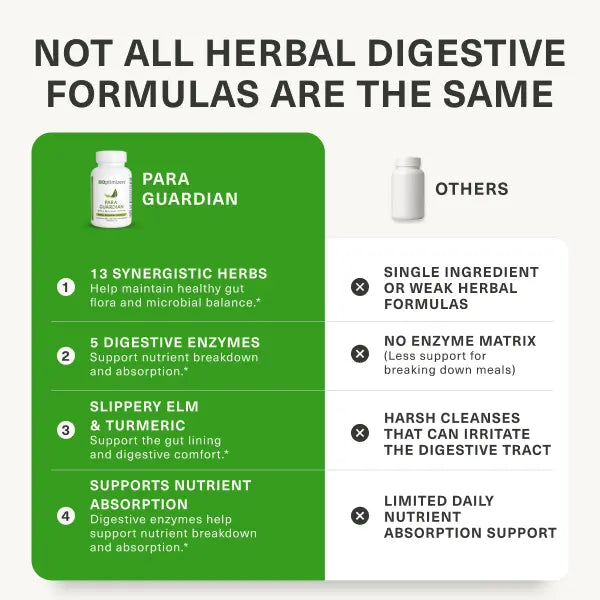 BiOptimizers MassZymes – High-Potency Digestive Enzymes with Protease & AstraZyme for Protein Absorption, Bloating & Gut Comfort Herbal digestive formula 90 veggie caps