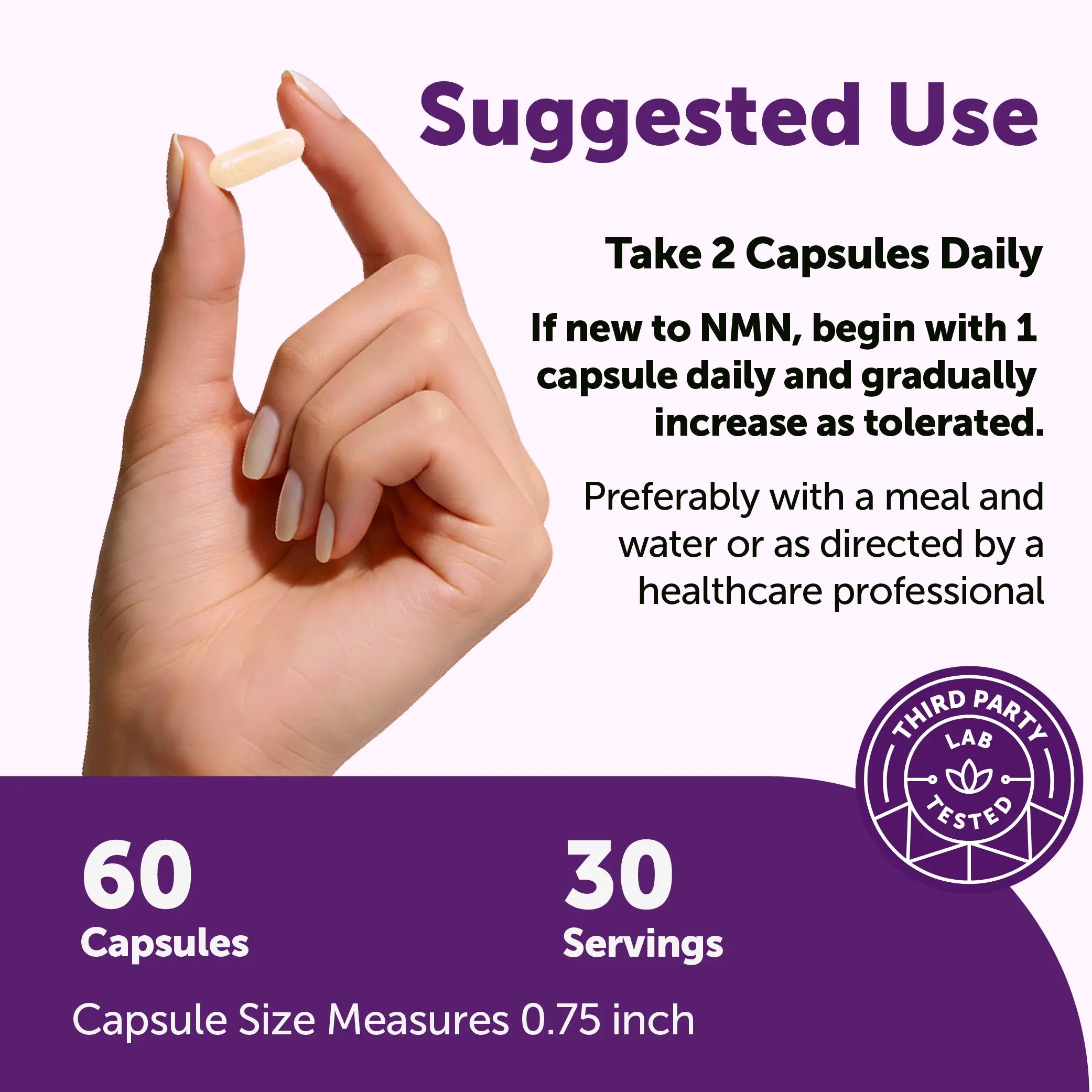 Micro Ingredients NMN Complex 1,000mg Per Serving, 10-1 Complex, Zero Filler, Pure NMN 500mg with Vitamin C, Resveratrol, CoQ10, TMG, Quercetin, & Glutathione | NAD+ Supplement Precursor