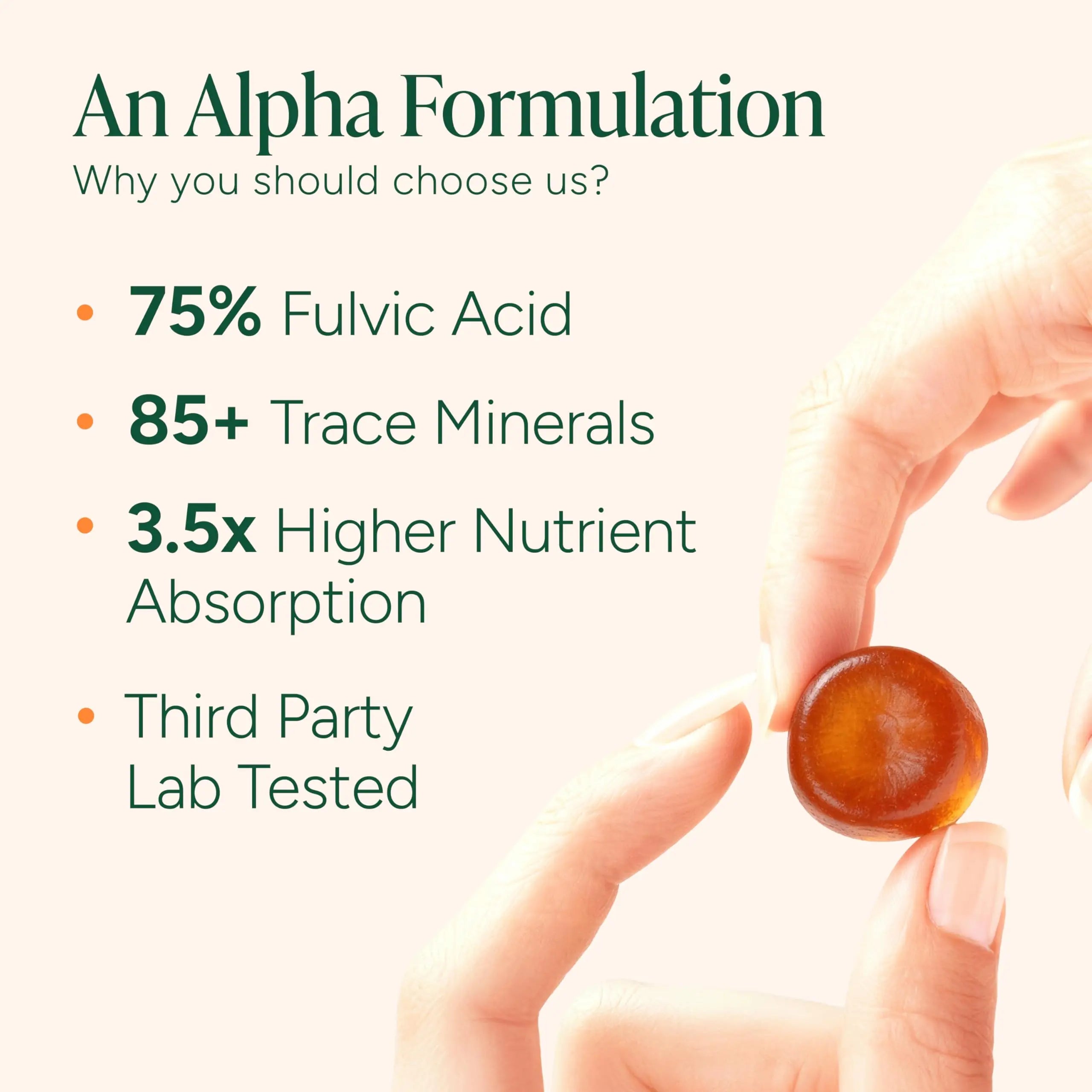 Root Labs Alpha 10-in-1 Shilajit Gummies 4000 mg | New Year New Me Edition | Start 2026 Strong | Energy, Stamina & Focus | Zero Sugar | KSM-66 Ashwagandha, Tongkat Ali, Maca | Vegan | 60 Count | Transform Your Health Goals