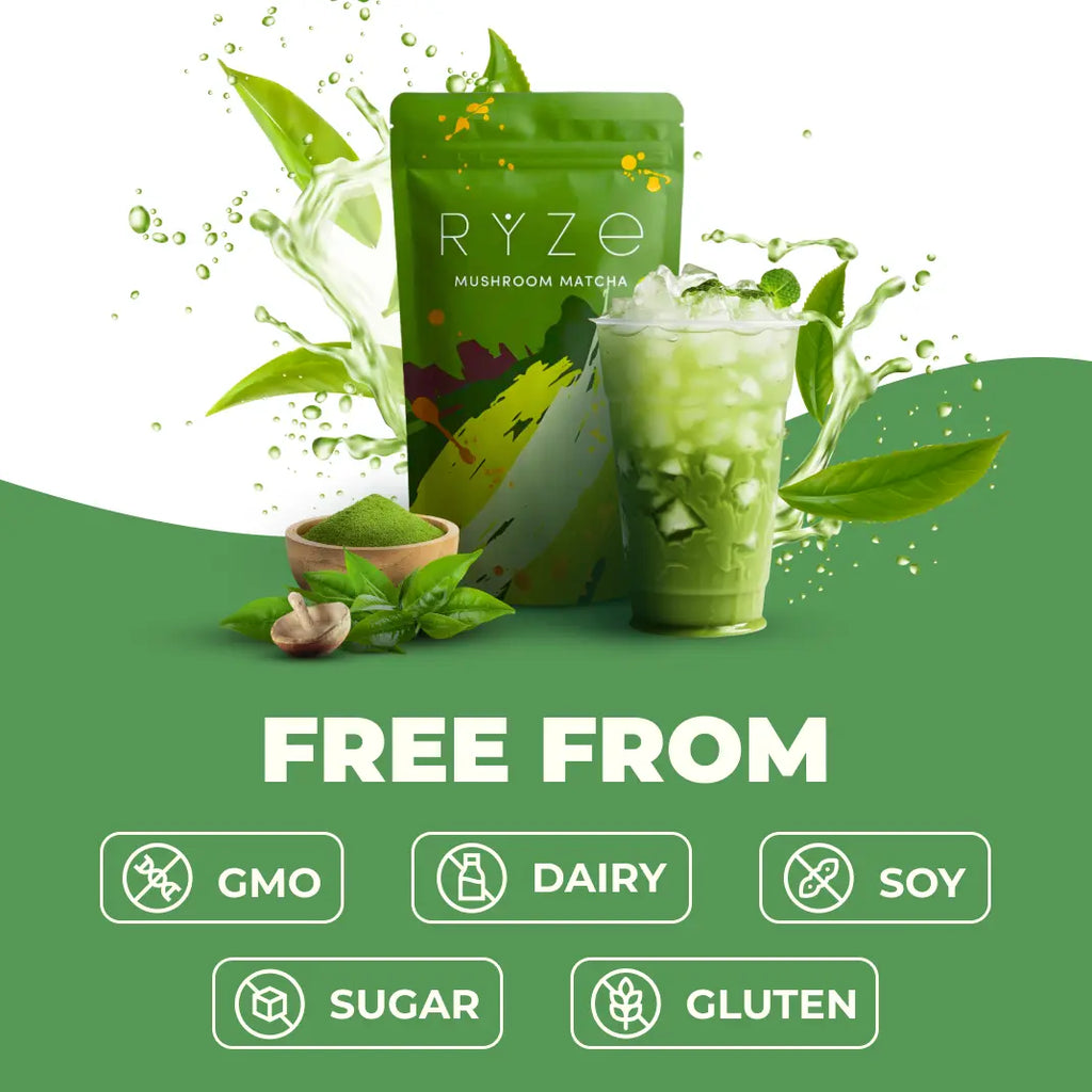 RYZE Mushroom Matcha, USDA Organic with 6 Adaptogenic Mushrooms and Ceremonial-Grade Japanese Matcha for Energy, Focus, Digestion, Immunity with Turkey Tail, Shiitake, Lion's Mane, Reishi, 30 servings