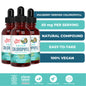 MaryRuth's Vegan Chlorophyll Liquid Drops - Non-Diluted Liquid Chlorophyll - Mulberry Derived Supplement - Non-GMO - Delicious Minty Flavor - 2 Fl Oz