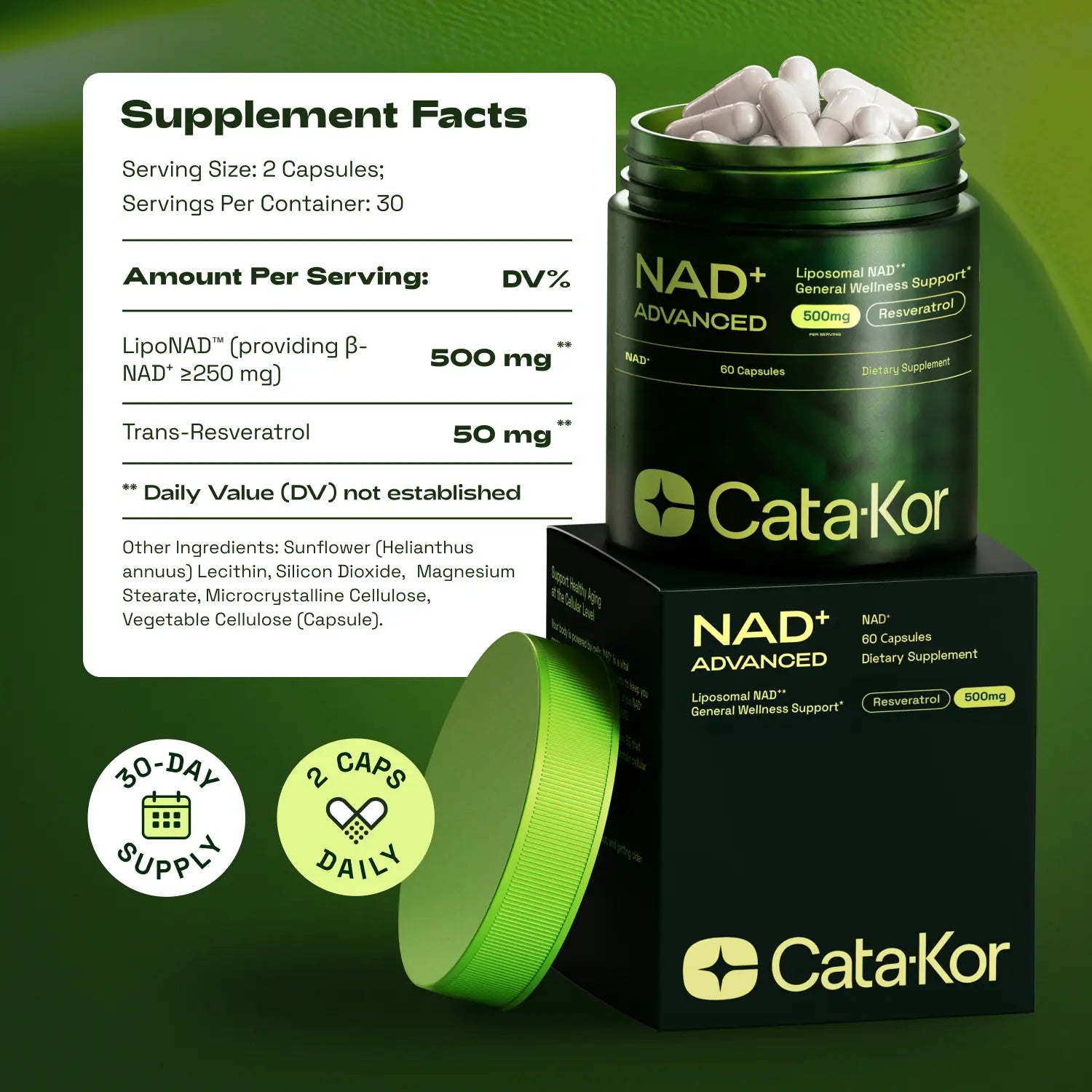 Cata-Kor NAD+ Advanced 500mg - NAD+ Supplement for Energy & Healthy Aging - 60 Count (30 Day Supply) - Previously known as Reus Research NR 900