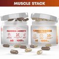 Muscle Stack – Testosterone Booster for Men – 2000mg Turkesterone, Tongkat Ali & Fadogia Agrestis – Strength, Stamina, Energy, Muscle Growth & Recovery Support – Men's T Booster Pills, Lab Tested, 120 Capsules